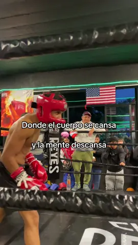 La pasión de hacer box ❤️🔥 #boxeo #box #boxing #fyp #boxeomundial #boxeomexicano🇲🇽 #boxeocubano🇨🇺 #sparringhighlights #sparringsession #boxingday #fyppppppppppppppppppppppp #entretenimiento #velada 