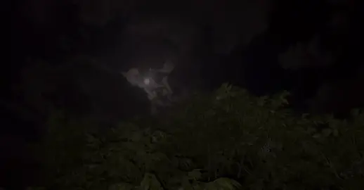 لقد أغلقت قلبي لك | Gönlümü kaptırdım sana #اغاني_تركية_مترجمة#fyp#music#explore#song#اغاني#ستوريات#foryou#viral#sibelcan 