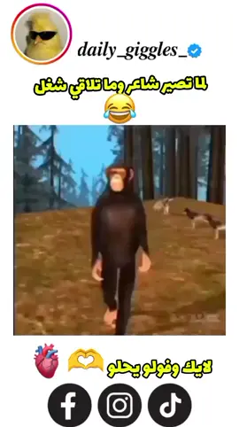 لايك وفولو يا جميل 🫶🫀 .  .  .  .  . #explore #fyp #شعب_الصيني_ماله_حل😂😂 #viral #foryou 