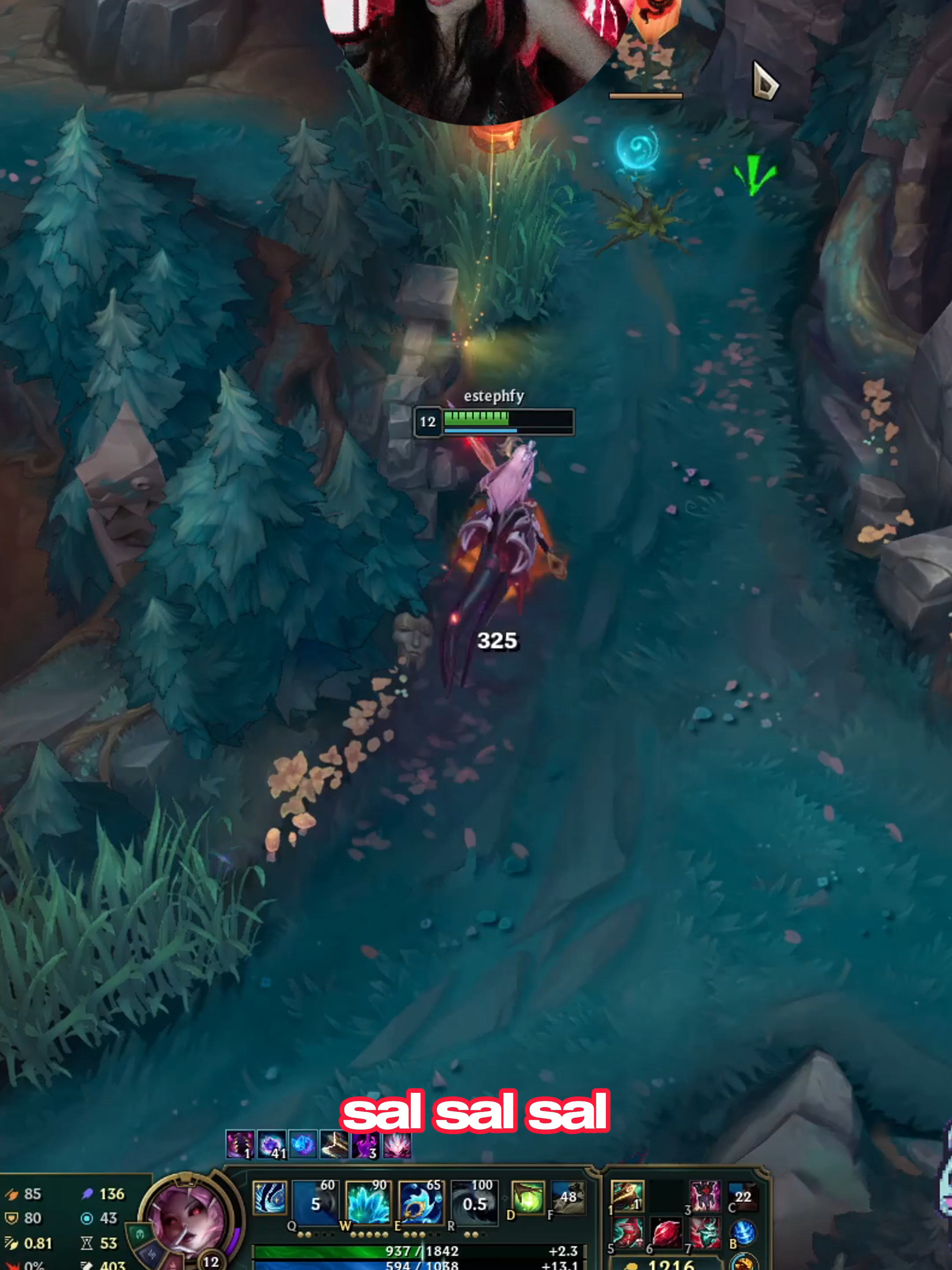 Lllego la pratulla antigarchadas | nami #nami #varus #leagueoflegends #fyp #cat #lol