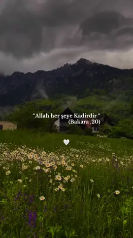 #fypシ゚viral🖤tiktok #keşfetteyizzz #islam #Alim 