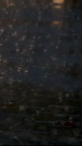 Relax to Rain for 1 Min. #sonicentric #rainynight #rainforsleeping