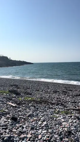Beautiful evening on the Port au Port Pennisula. Going to miss home when I head back tomorrow but always have the memories #newfoundland #vacation #Home #ocean #waves #portauportpeninsula #fyp
