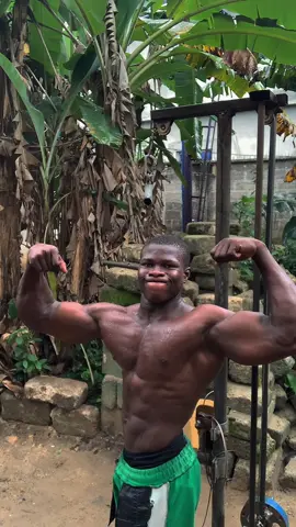 King of the jungle 