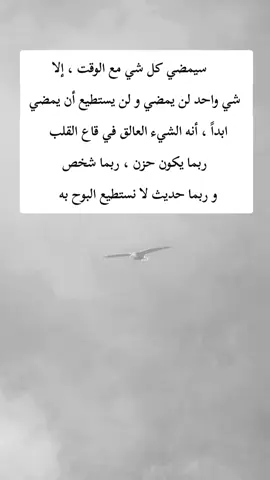 #اكسبلور 