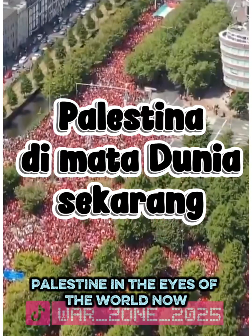 Negara Negara mendukung kemerdekaan #palestina #palestine #FreePalestine #freepalestine🇵🇸❤️ #fyp 