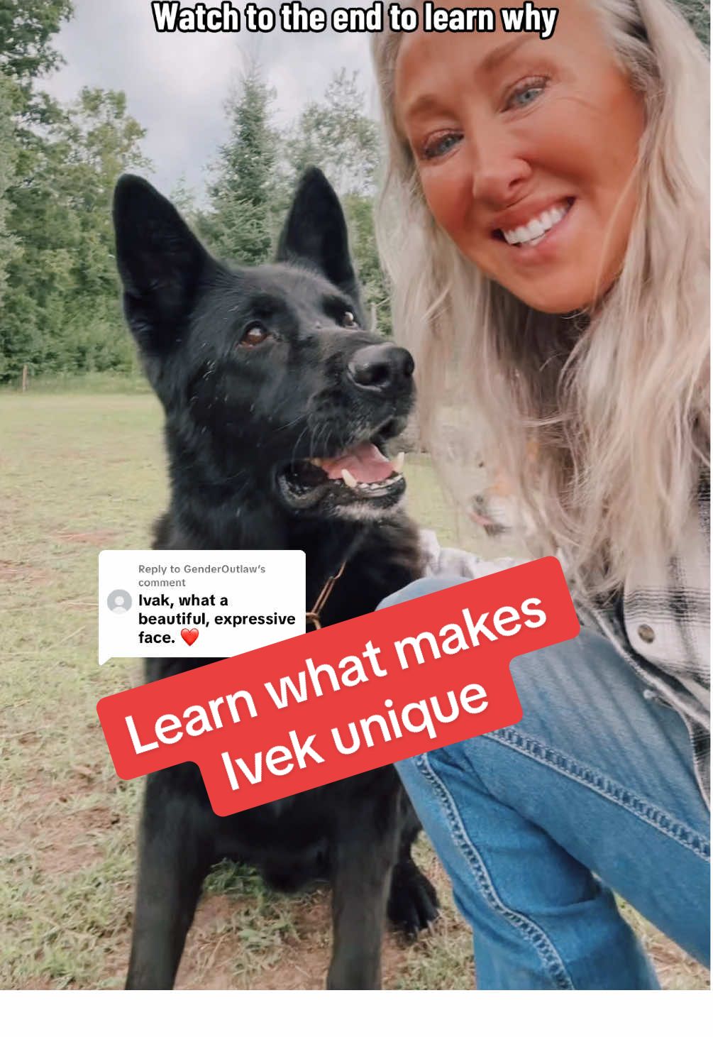 Replying to @GenderOutlaw He’s a beautiful beast, he has done protection work, his vocabulary is ridiculously extensive, and he has been trained to do something very unique. Detect electronic storage devices like flash drives, SIM cards, and cell phones. And he does it all with a goofy, charming personality. #gsd #gsdoftiktok #detectiondog #workingdog #workingk9 