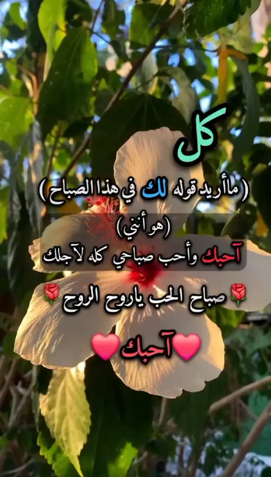احبك ❤️ 