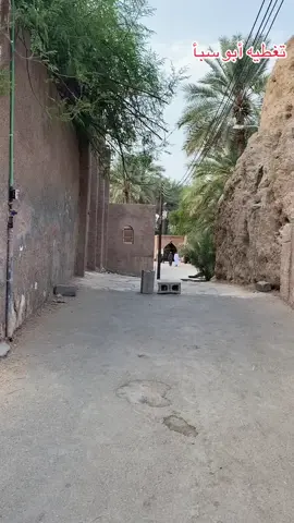 #أبوسبأ  تغطيه ممشى حجره الشيخ ولاية وادي المعاول  تغطيه وتصوير محمد بن سيف بن حمد البحري ٢٦ / ٧ / ٢٠٢٥