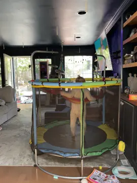 It’s been a little over a month since we got this trampoline for baby girls birthday. She has learned to jump and is on it for a majority of the day 👍🙃 #indoorplayground #trampoline #kidstoys 