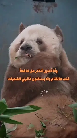 🌚💔 #الشعب_الصيني_ماله_حل😂😂 #مالي_خلق_احط_هاشتاقات #رياكشن #رياكشنات_مضحكه #رياكشنات #ضحك #مشاهداتي #مشاهدات #memes #foryou #pov #اكسبلورexplore 