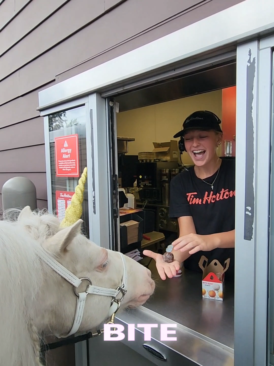 Replying to @iamthedoublerainbow80 Had to take my very special Unicorn 🦄 George to Tim Hortons for some Timbits.  George's horn is magical and special. He has the ability for it to change colors. Today I told him I thought the Gold Sparkle one was fitting since he really loves Timbits from @Tim Hortons #LIVEIncentiveProgram #LIVEwithlowfollowers #PaidPartnership #unicorn🦄 #georgetheunicorn🦄 #unicorn #fyp #foryou #viral #fypシ #stitch #timhortons #timbits #unicornsarereal #believeinthemagic 