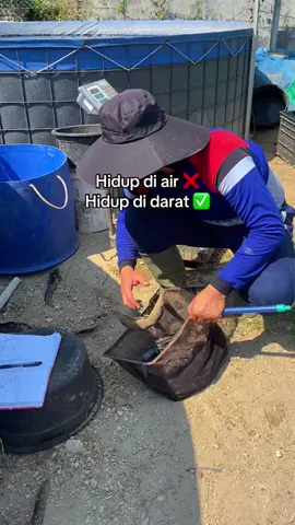 Spesies baru yg bisa hidup di darat #fyp #foryou #xybca 