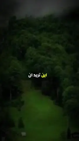 #CapCut 