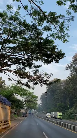 Pagi mingguu 