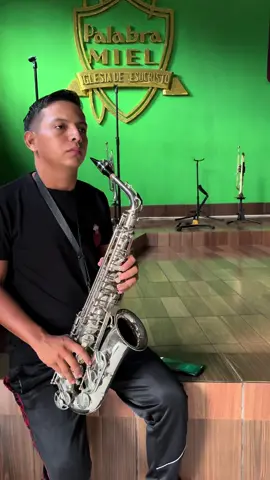 Hermosa Melodía 🥺🎷❤️‍🩹#paratii #palabramiel #musica #saxofon 