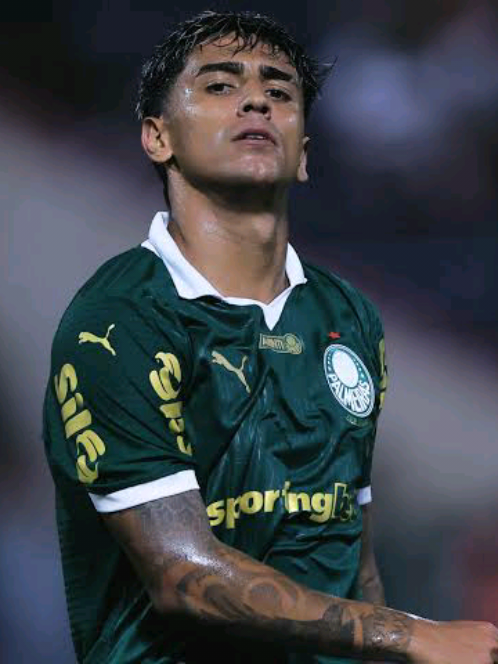 GOL DE FACUNDO TORRES DO PALMEIRAS CONTRA O GREMIO #palmeiras #gremio #brasileirao #futebol #facundotorres 