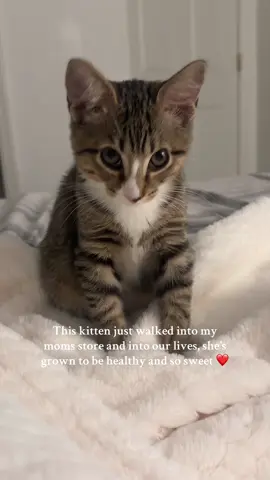 She’s our rescued bestie 🐿️