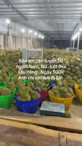 #sauriengdaklak #sauriengmientay #saurienggialai 