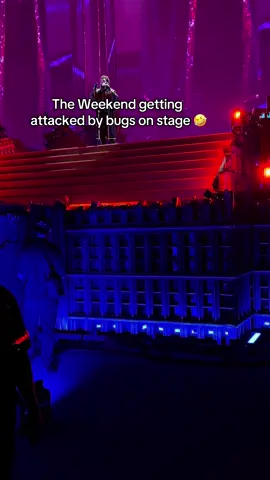This was actually so funny.     The 3rd one got me 😭#theweeknd #afterhourstildawnstadiumtour #bugs #mtl 