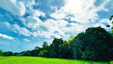 আল্লাহ আমাদের চোখের হেফাজত করবার তোফিক দান করুক আমিন 🌸 #foryou 
