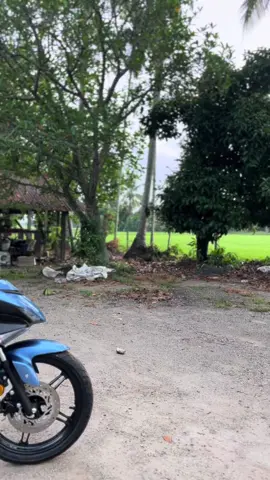 standard itu indah🦋#buterfly #y15#fyppppp