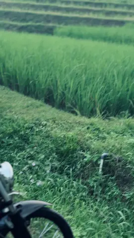 Yang Belum kesampaian Punya GL Saya DOAKAN segera keturutan samkuh ketik “Amiin” #glbledug #samajrilgarasi  #promomakangajian 