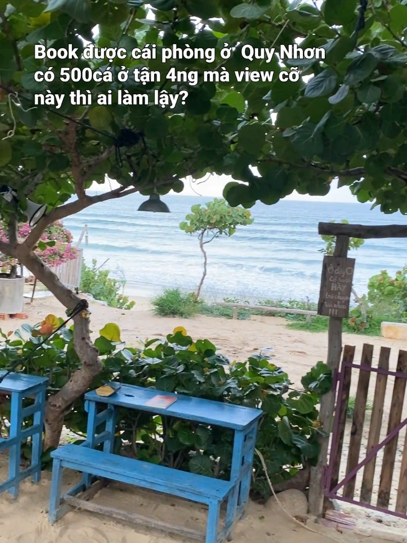 Chuyến đi Quy Nhơn này chữa lành tui qua' trời #quynhon #nhabacomma #kycoeogio #bienquynhon #reviewquynhon 