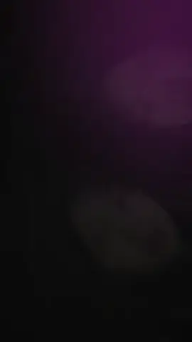 #CapCut 