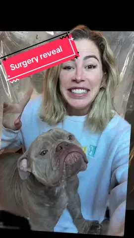 Foster dog Fred’s TUMMY CONTENTS REVEALED 😱🤯😮🙊😯🙀😨🫢🫨🤢 #fosterdogfred #fosterdog #rescuedog @iswmp #adoptdontshop  