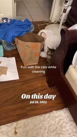 #onthisday 
