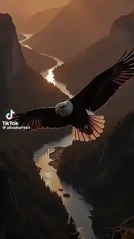 #مشاهدات56000مليون_مشاهده #مشاهدات56000مليون_مشاهده 