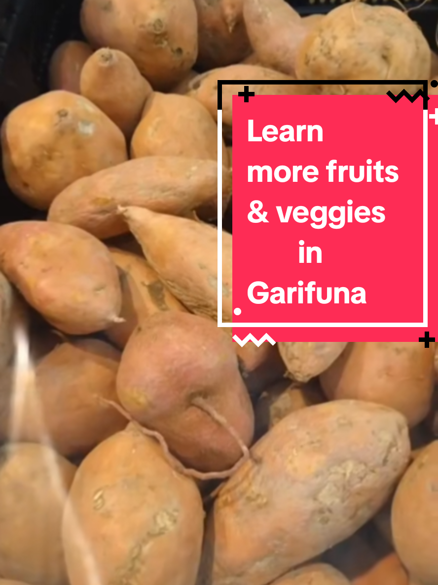 Learn to say these fruits and vegetables in Garifuna.  #learngarifuna #afurendeigarifuna #garifuna #garinagu #yurumein #balliceaux #stvincent #belize #honduras #arawak #caribs #african #garifunalanguage #garinaguwagía #aübunamürünun #Chülühalidanlunlareidahóun #Chüluhalidanlunlarufudahóun #Féiridiwañálieigumugubei #onthisday 