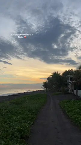 #parati #fypシ #fypシ 