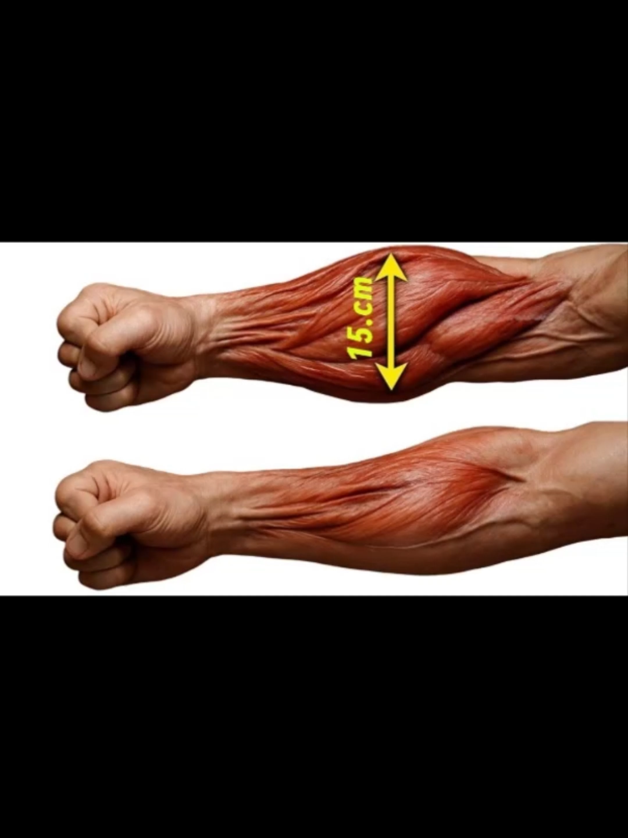 How to get bigger forearms? 💪🔥  #exercise #Fitness #gym #GymTok #workout #muscle #musculation #homeworkout #workoutroutine #Triceps #tricepsworkout #Traps #forearms #forearmsworkout