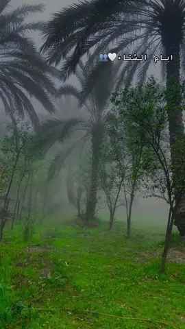 #ايام #الشتاء #🤍#🥺💔 #لايك__explore___ 😕@عـبـود الـزبيـدًيً✌️🦅 #