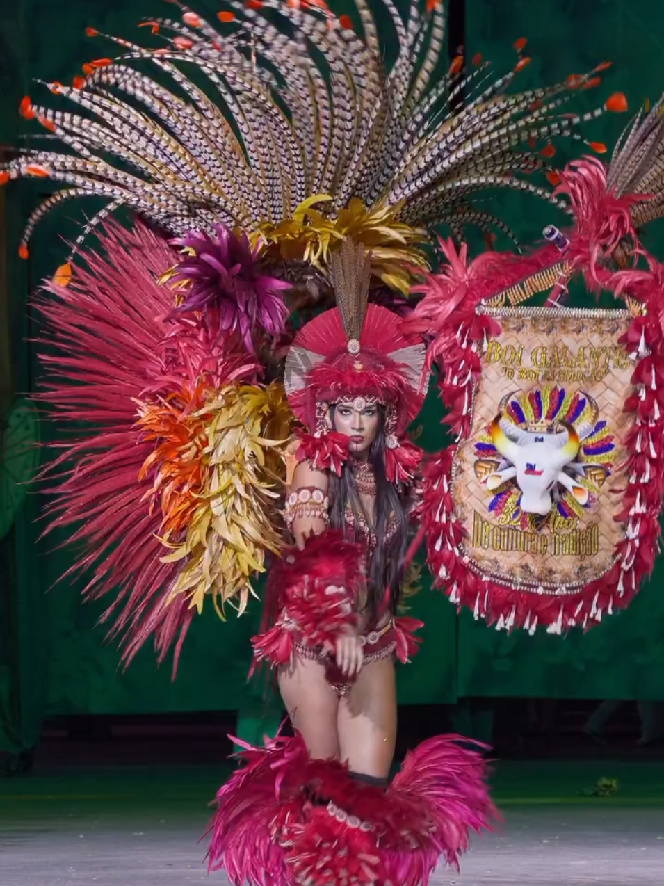 Porta estandarte do Boi Galante de Manaus 2025♥️💛💙