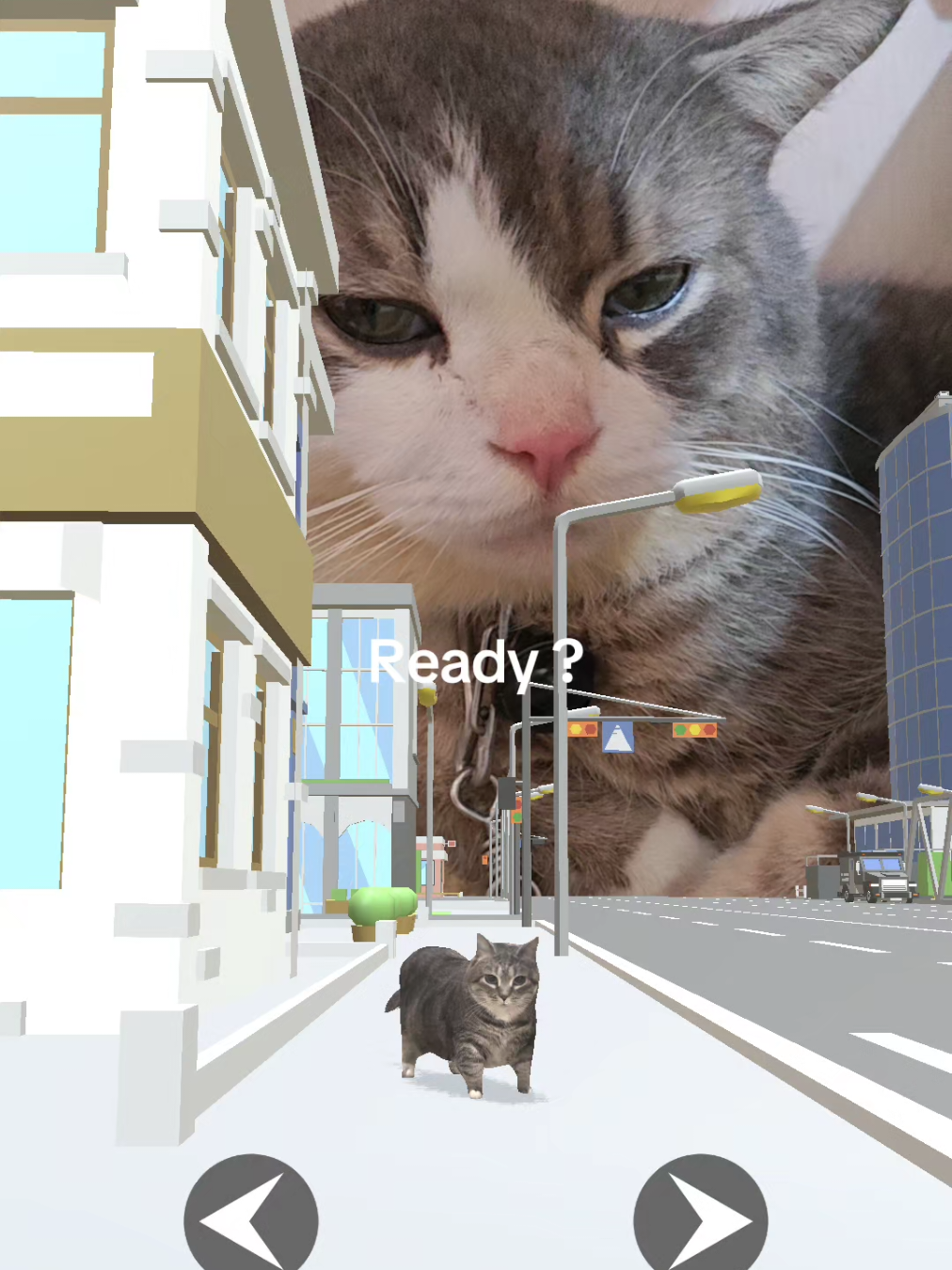 Game dễ quá ráng qua màn ngủ luôn 😴 #catlover #cat #cacaocat 