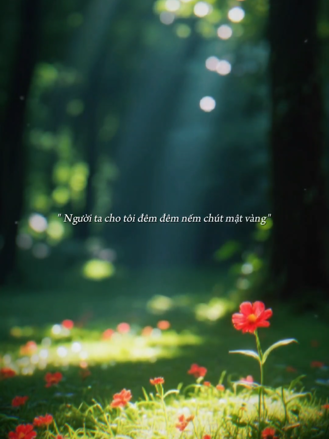 Lạc bơ vơ nghe con suối róc rách... #remix #nhachaymoingay #Bkmuzic #hoa 