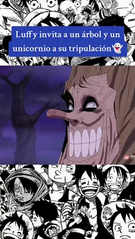 luffy invita a un árbol y un unicornio a su tripulación #luffyonepiece #zorororonoa #paratiiiiiiiiiiiiiiiiiiiiiiiiiiiiiii #onepiece #anime 