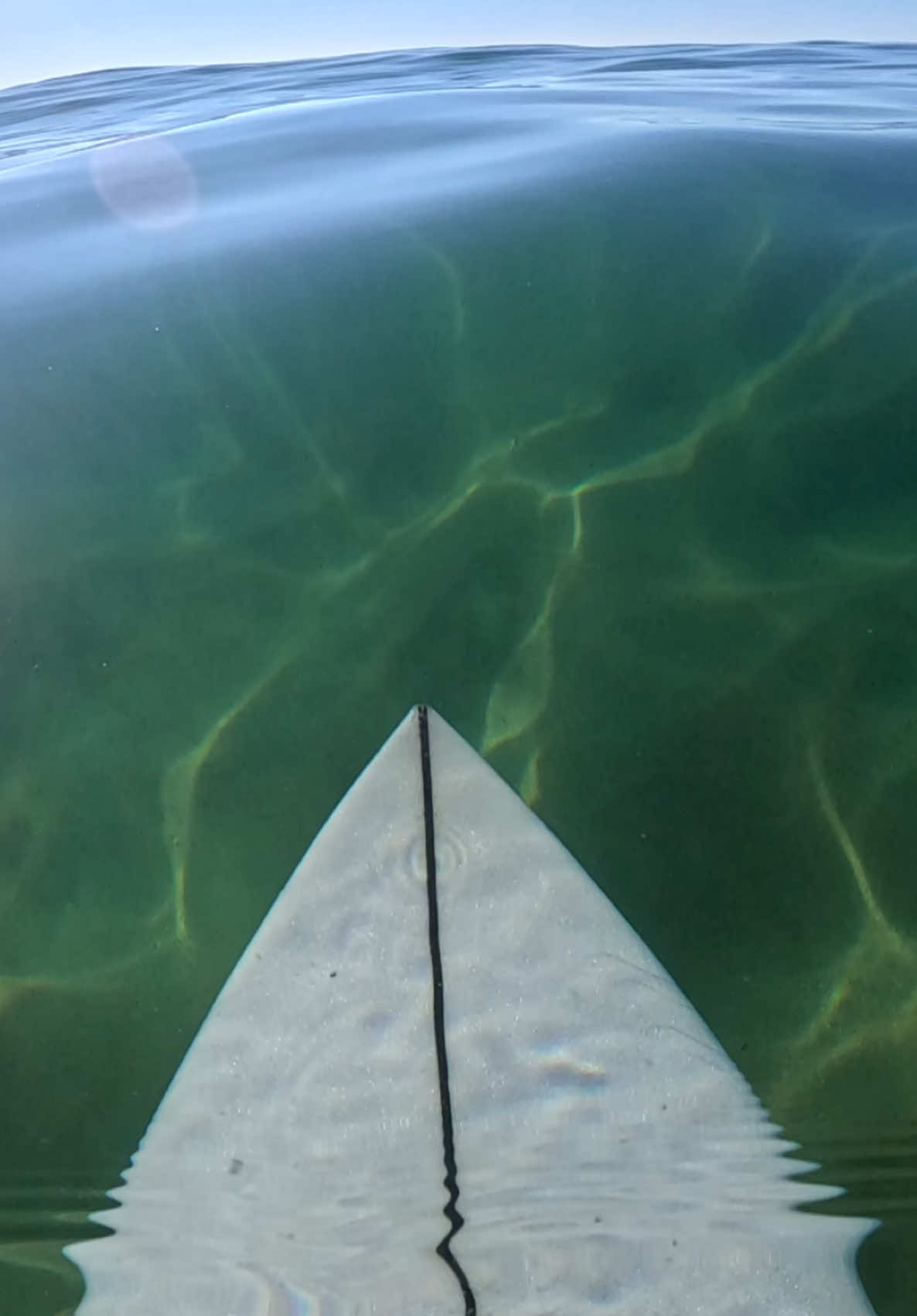 🫠 #satisfying #surfing