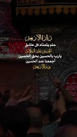 #زيارة الأربعين حلم يتمناه كل عاشق الحسين عليه السلام #foryoupage #عاشوراء_الحسين_1447 #تصميم_فيديوهات🎶🎤🎬 #fypviraleenscreen #اكسبلورexplore #اكسبلورexplore❥🕊🦋💚❤ #اكسبلورexplore❥🕊 