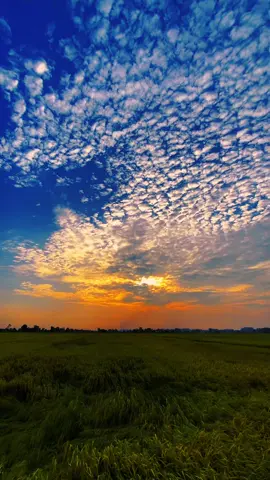#CapCut Vibe sunset . #capcutradio #sky #nature #sunset #vibe 