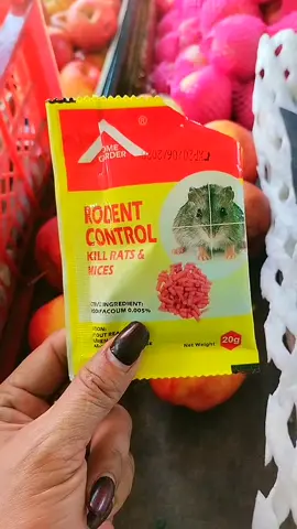 Grabe Ang laki Ng lugi Namin sa prutas dahil sa Mababait na DAGA... Kaya kung ganito din problema nio itry Nyo na din Ang Rodent Control.. #rodentcontrol #killrats #ratkiller #mousetrap #mousekiller 