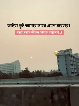 ভাইয়া তুই আমার সাথে এমন ব্যবহার। করবি আমি জীবনে ভাবতে পারি নাই।🥹