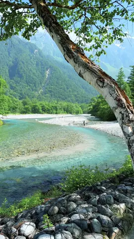 อยากให้มาเห็นความสวยนี้กับตา  #kamikochi #nagano #คามิโคจิ #เที่ยวญี่ปุ่น #japantrip 