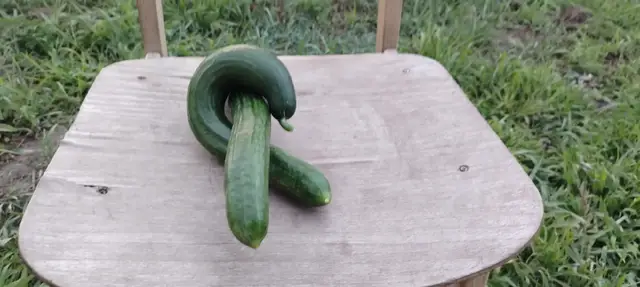 #sippi190 #bazdbeforyouba #bazdkiforyuba #nekedbelegyen #neked #nekedbelegyenbenne #foryou 