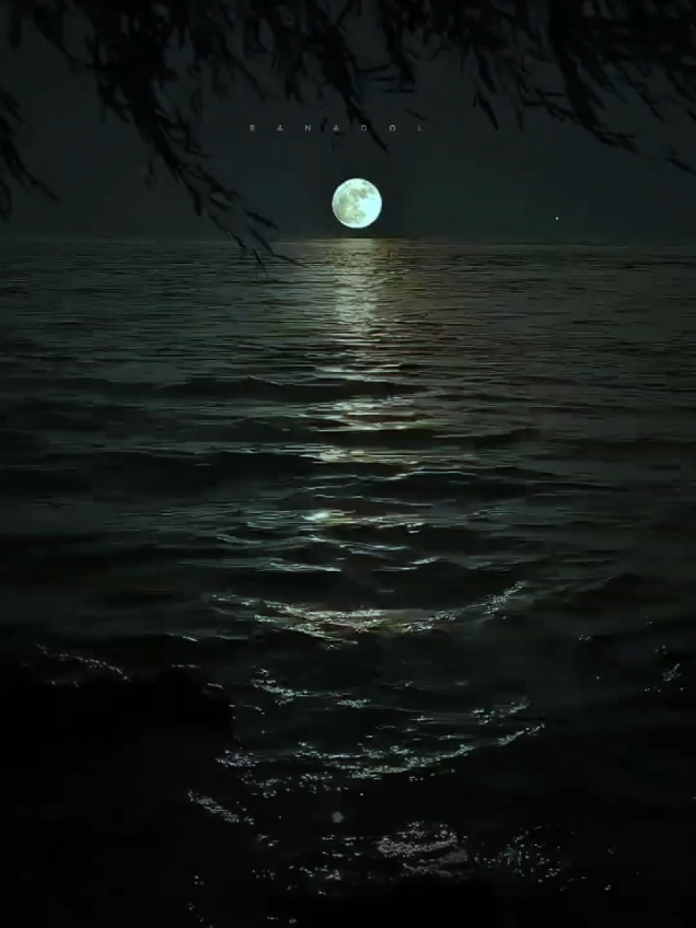 11.30||Midii deeqda u heshaay❤️🫂💍 #foryoupage❤️❤️ #viewsproblem #fyyyyyyyyyyyyyyyy #for #heeso #baanadool #jawi_bila🌊❤️🌴 