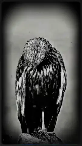 #CapCut الناس عايزه تفعل و تزعل من رد فعلك #الكابتن_محمد 