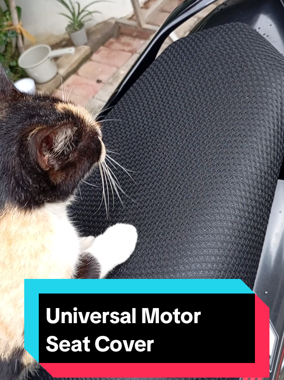 Anti-pusa scratch at swak sa kahit Anong size na motor seat! try mo to. #universalseatcover  #motorseatcover  #antipusaseatcover  #tiktokfindsph  #foryoupage  #fyp 